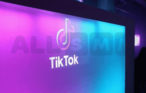 Overview of the Popular Platform TikTok 
